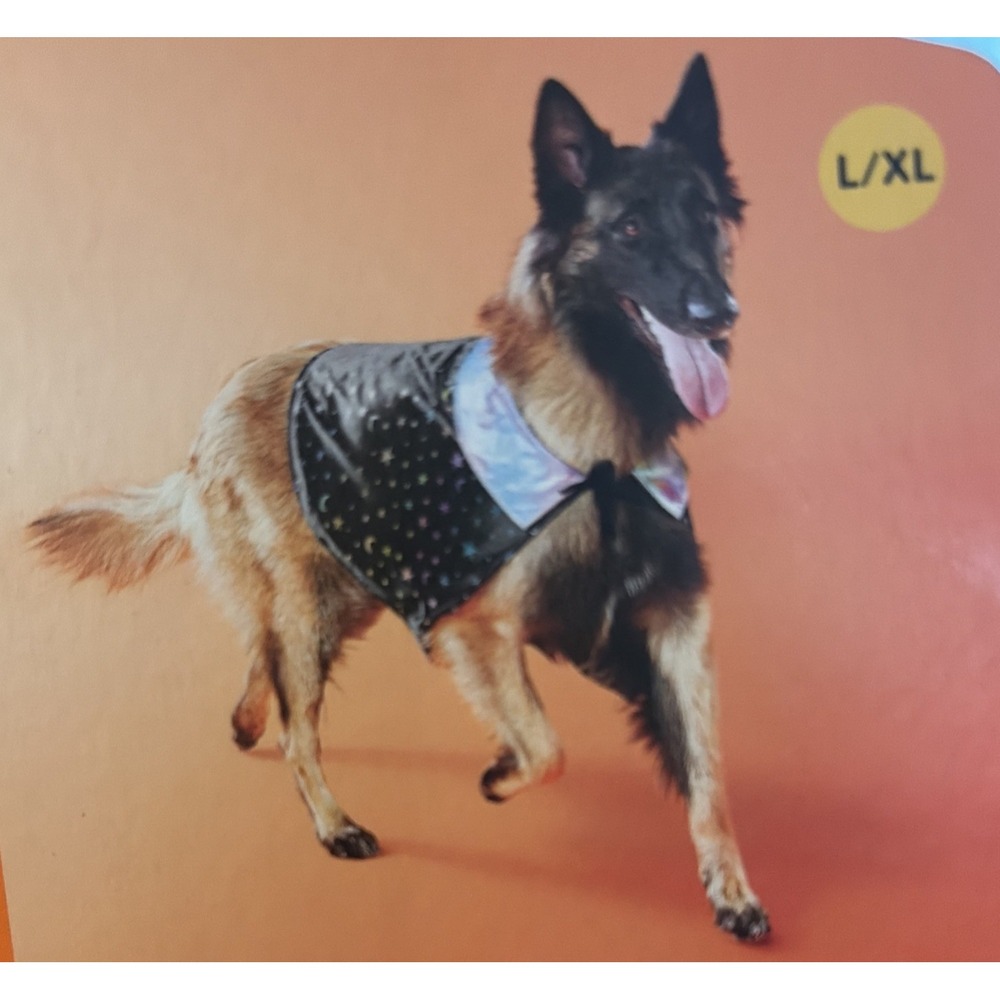 Boots & Barkley Halloween Costume Cape in L / XL - NWOT